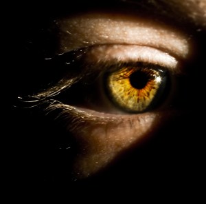 2313014679_0890cb221a_oEDIT