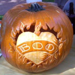 FOQXZ7QF8DOZQOF_LARGE