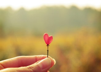 5033861891_b2a1e776fb